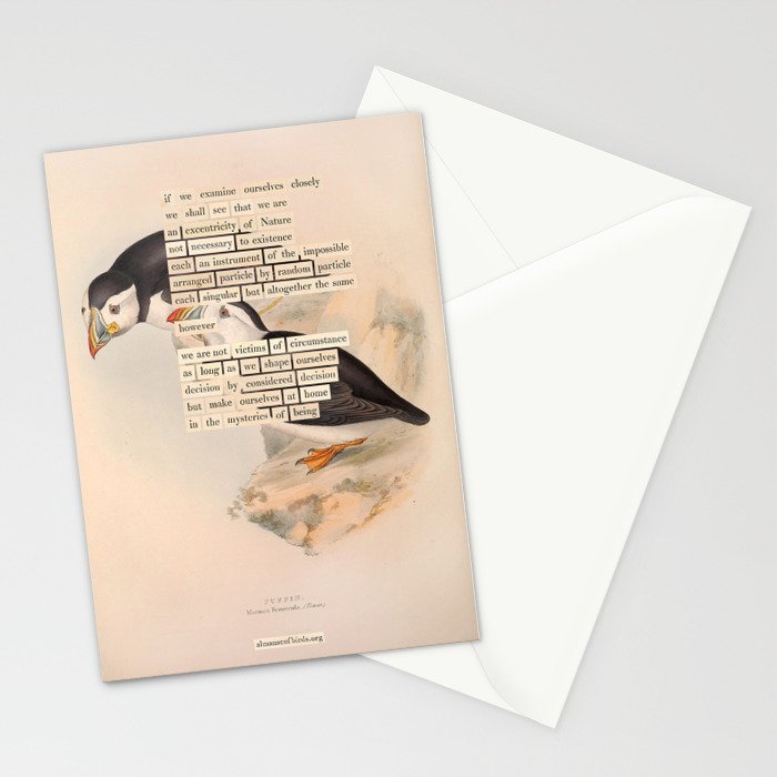 Bird Divinations: Puffin (about: almanacofbirds.org) Stationery Card Gallery Image 2