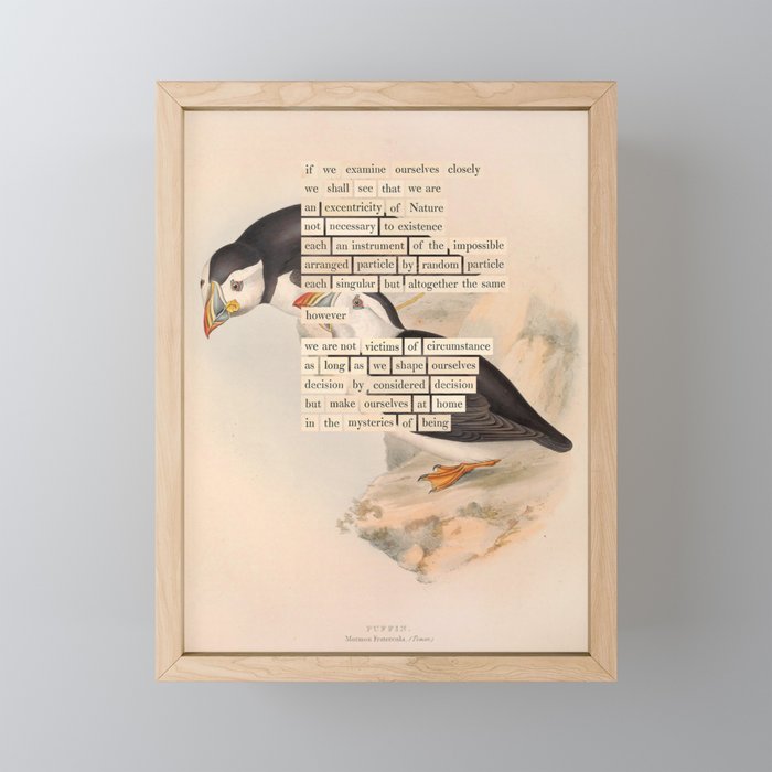 Bird Divinations: Puffin (about: almanacofbirds.org) Mini Art Print Gallery Image 1