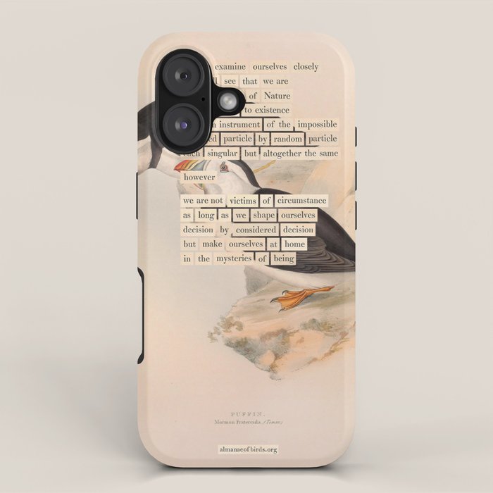 Bird Divinations: Puffin (about: almanacofbirds.org) iPhone Case Gallery Image 1