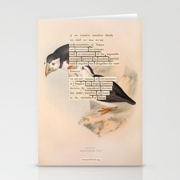 Bird Divinations: Puffin (About: Almanacofbirds.Org) Stationery Card
