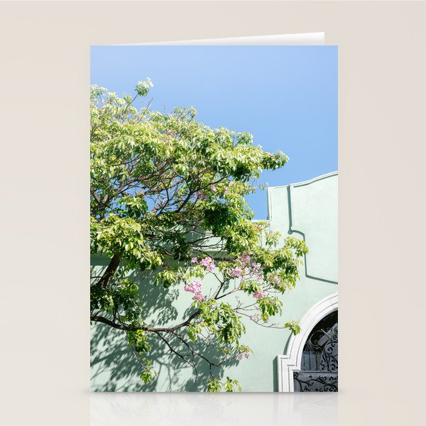Oaxaca Greens | Botanical Mexico Travel Photography Stationery Card Gallery Image 1