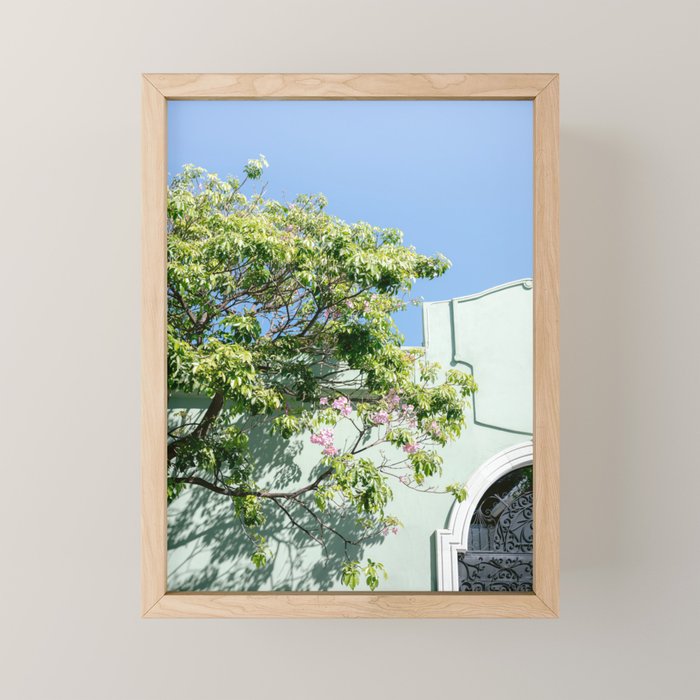 Oaxaca Greens | Botanical Mexico Travel Photography Mini Art Print Gallery Image 1