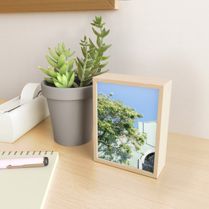 Oaxaca Greens | Botanical Mexico Travel Photography Mini Art Print Gallery Image 2
