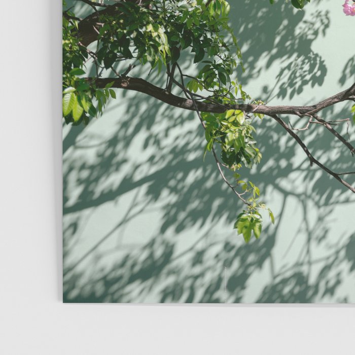 Oaxaca Greens | Botanical Mexico Travel Photography Poster Gallery Image 3