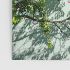 Oaxaca Greens | Botanical Mexico Travel Photography Poster Gallery Image 3