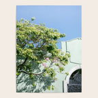 Oaxaca Greens | Botanical Mexico Travel Photography Poster Gallery Image 4