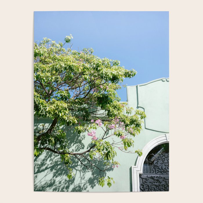 Oaxaca Greens | Botanical Mexico Travel Photography Poster Gallery Image 4