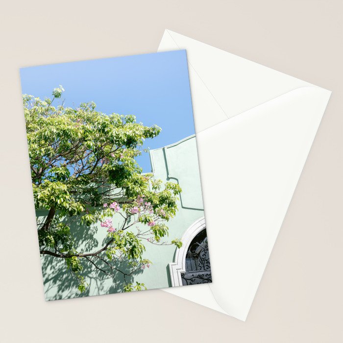 Oaxaca Greens | Botanical Mexico Travel Photography Stationery Card Gallery Image 2