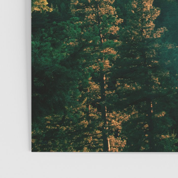 The Great Outdoors Poster Gallery Image 3
