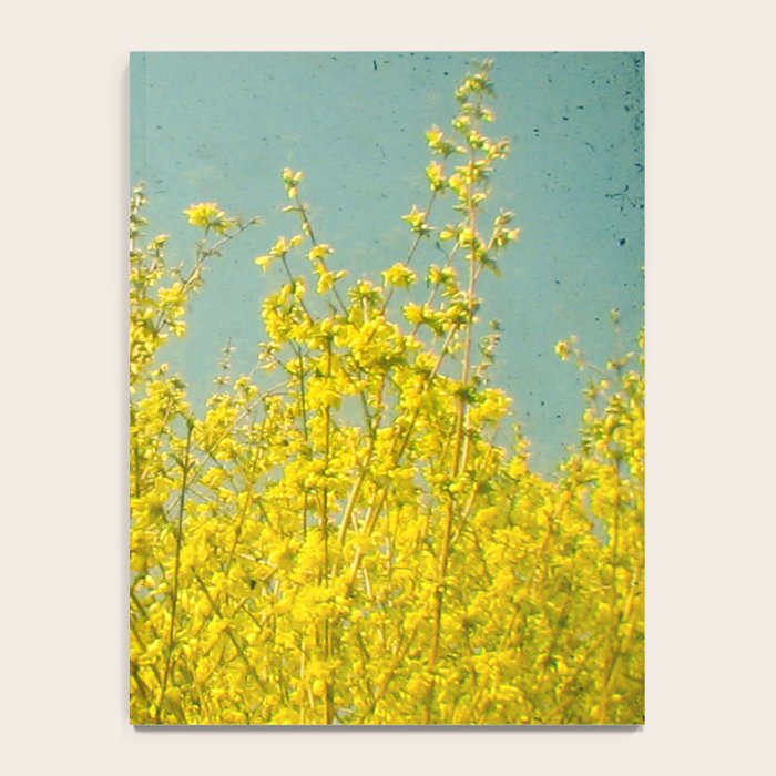 Summer Notebook Gallery Image 4