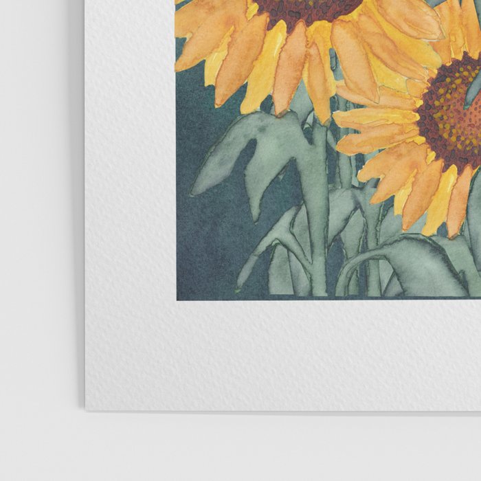 Sunflower_07 Poster Gallery Image 3