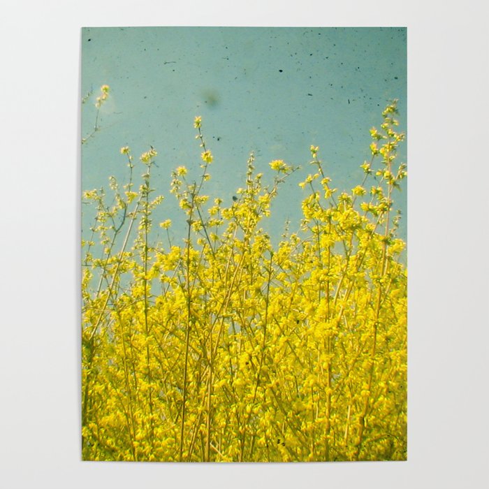 Summer Poster Gallery Image 4