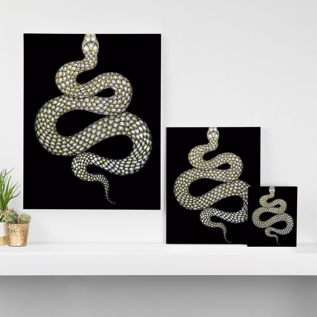 Snake's Charm in Black Canvas Print Gallery Image 3