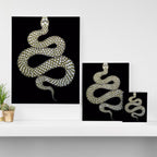 Snake's Charm in Black Canvas Print Gallery Image 3