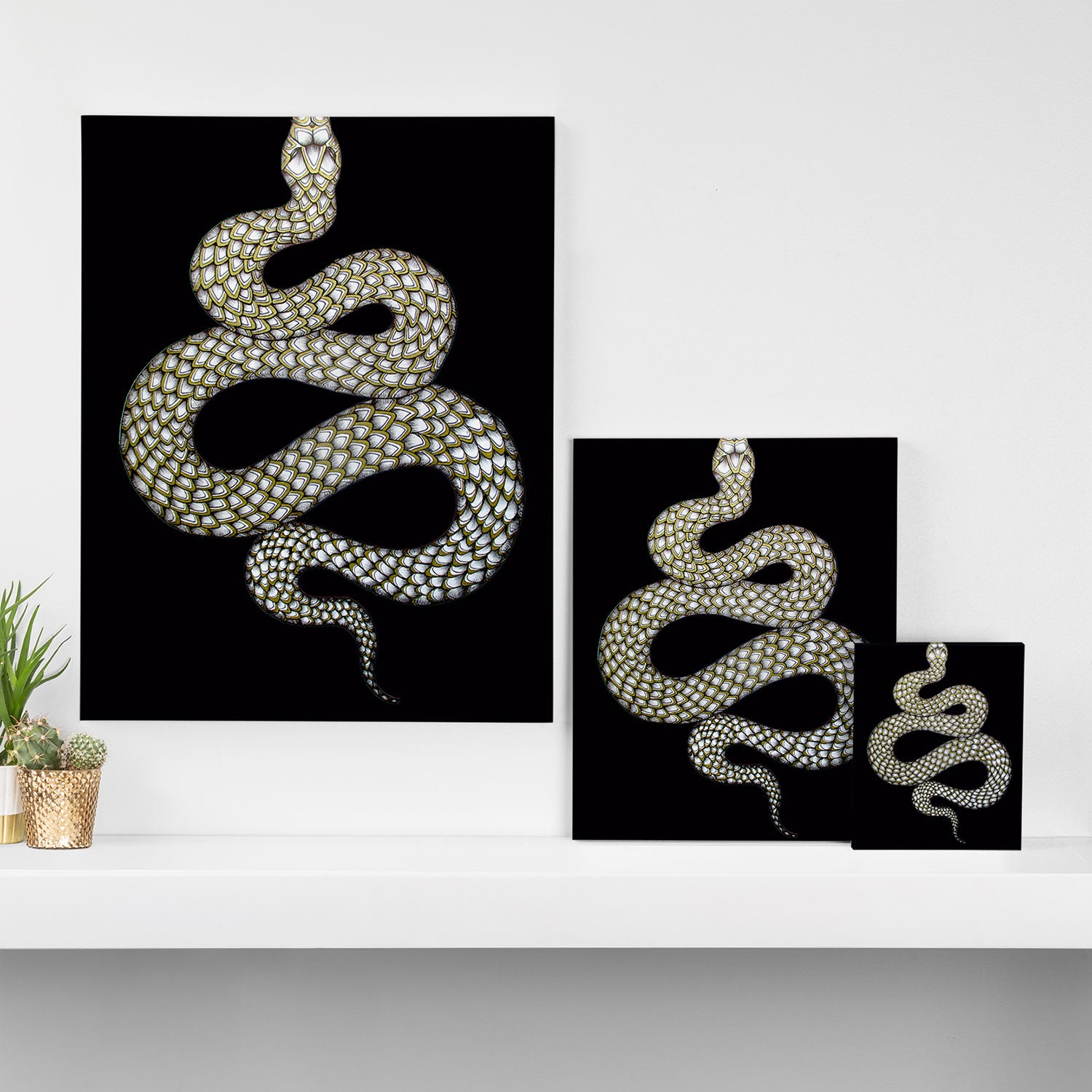 Snake's Charm in Black Canvas Print Gallery Image 3
