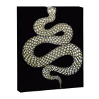 Snake's Charm in Black Canvas Print Gallery Image 3