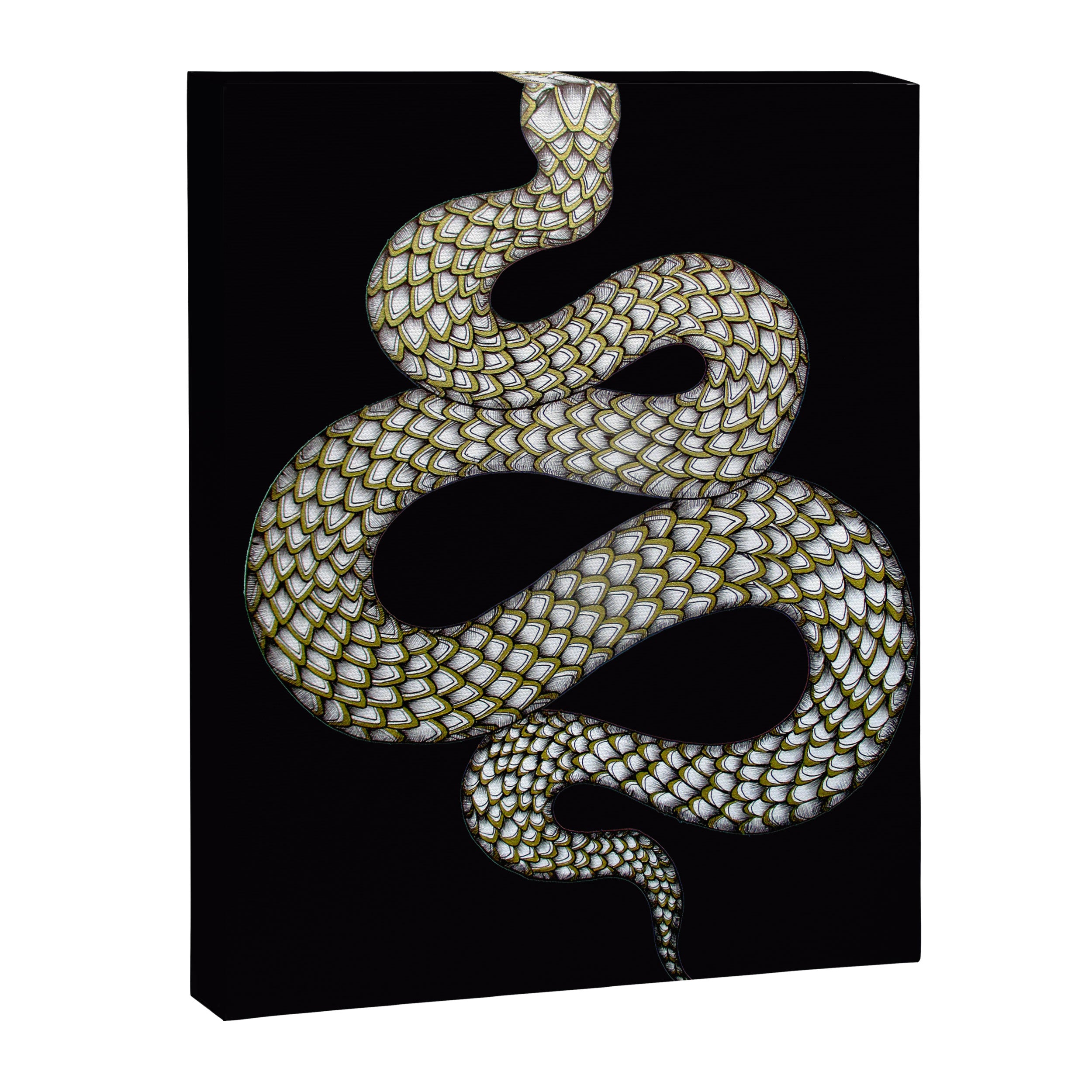 Snake's Charm in Black Canvas Print Gallery Image 3