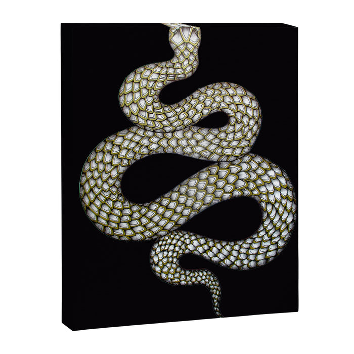 Snake's Charm in Black Canvas Print Gallery Image 1