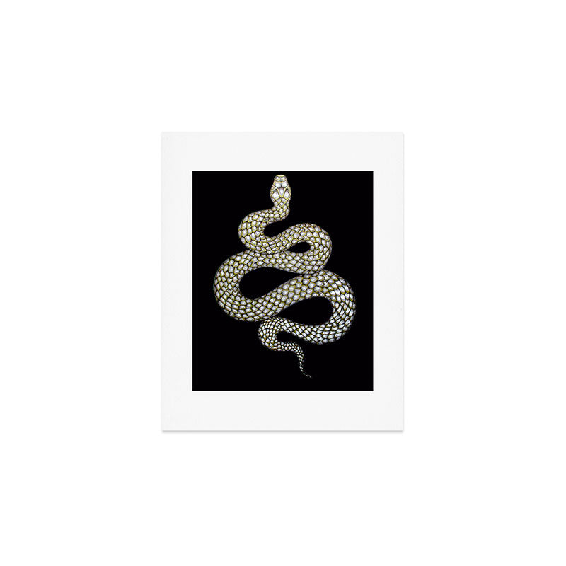 Snake's Charm in Black Art Print Gallery Image 1