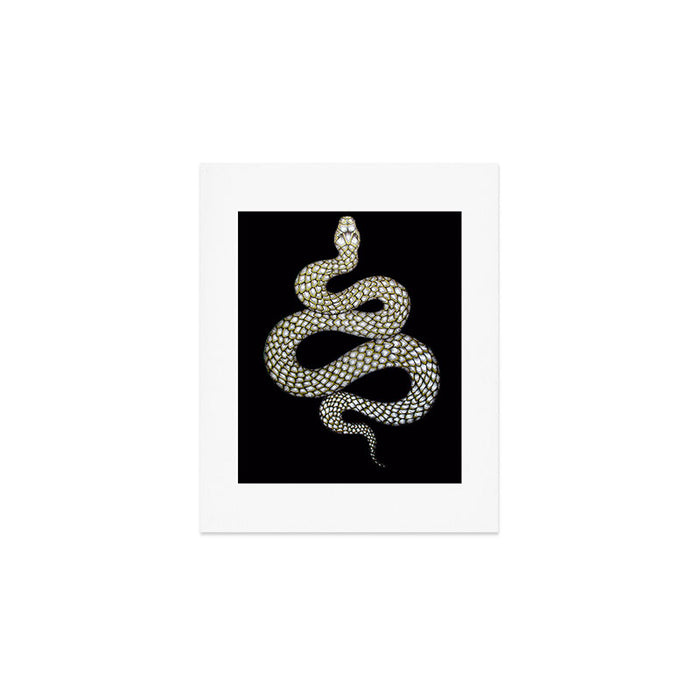 Snake's Charm in Black Art Print Gallery Image 1