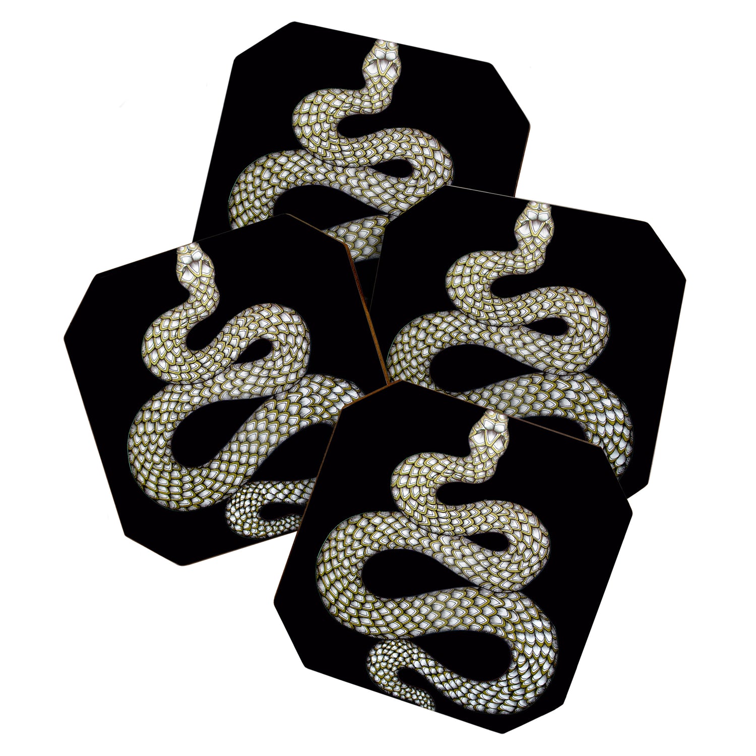 Snake's Charm in Black Coaster Gallery Image 1