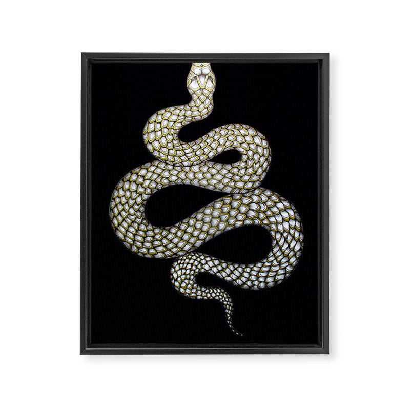 Snake's Charm in Black Framed Canvas Print Gallery Image 3