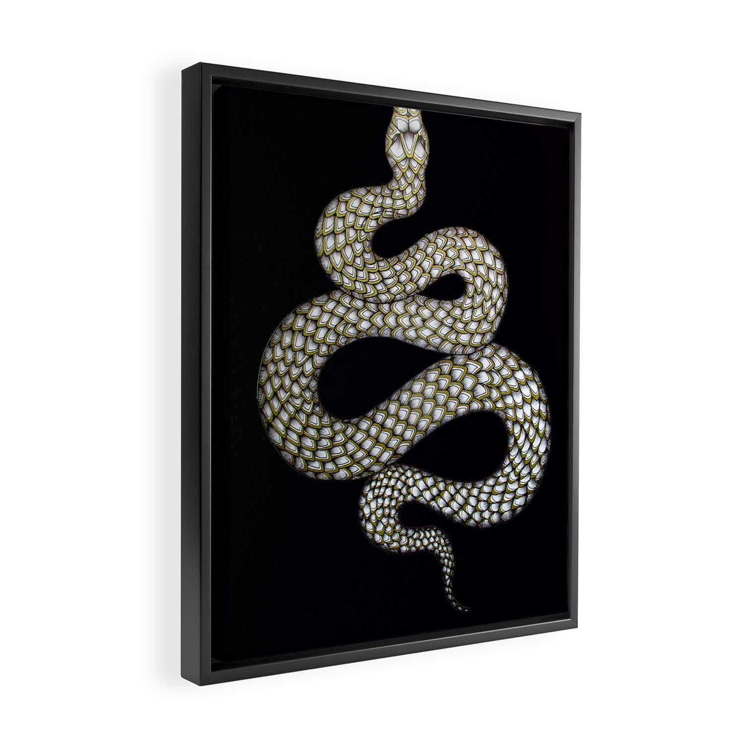Snake's Charm in Black Framed Canvas Print Gallery Image 2