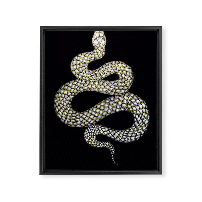 Snake's Charm in Black Framed Canvas Print Gallery Image 1