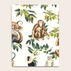 Monkeys, orangutans and more Notebook Gallery Image 4