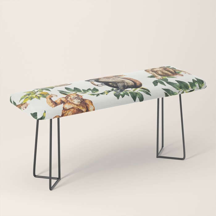Monkeys, orangutans and more Bench Gallery Image 1