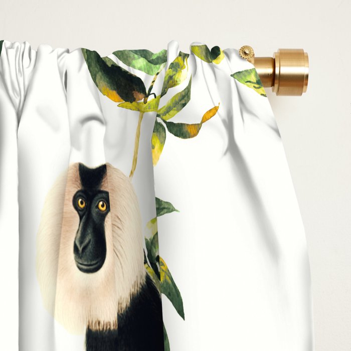 Monkeys, orangutans and more Window Curtain Gallery Image 2