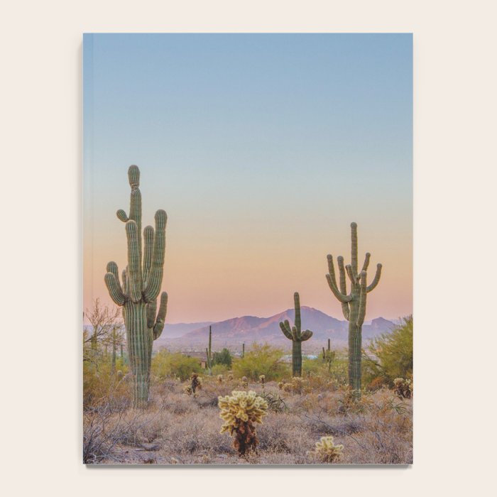 Desert / Scottsdale, Arizona Notebook Gallery Image 4
