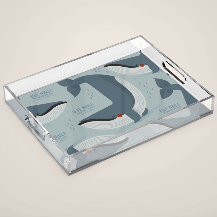 Blue Whale, Wildlife of Antarctica Acrylic Tray Gallery Image 1
