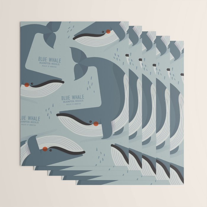 Blue Whale, Wildlife of Antarctica Wrapping Paper Gallery Image 3