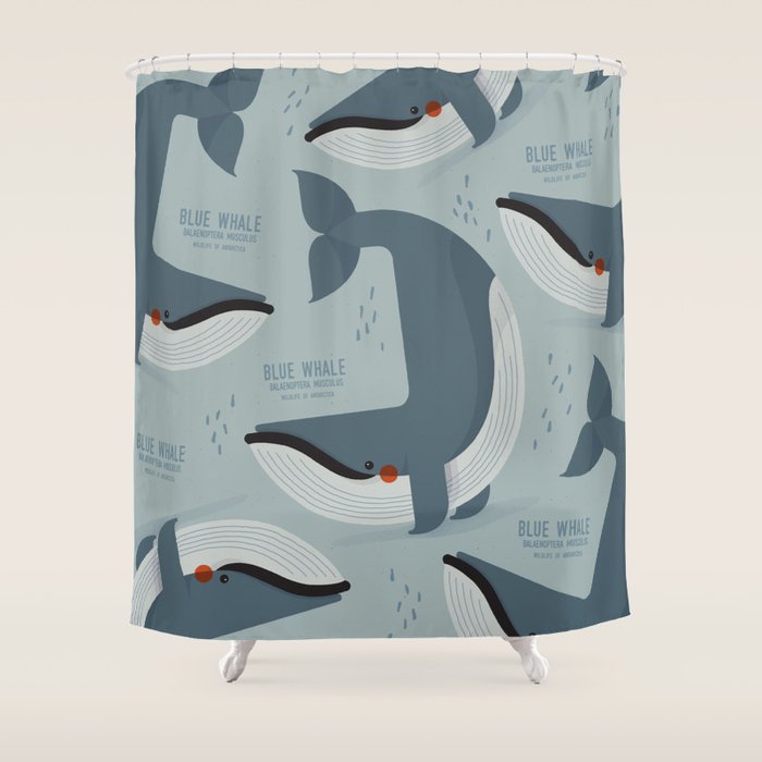 Blue Whale, Wildlife of Antarctica Shower Curtain Gallery Image 1