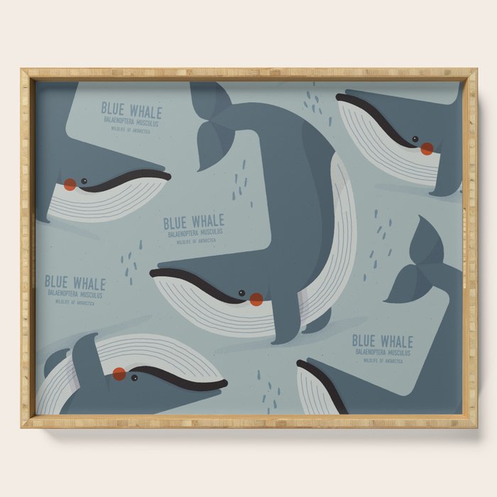 Blue Whale, Wildlife of Antarctica Serving Tray Gallery Image 1