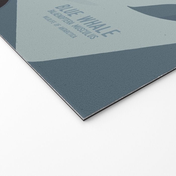 Blue Whale, Wildlife of Antarctica Welcome Mat Gallery Image 2