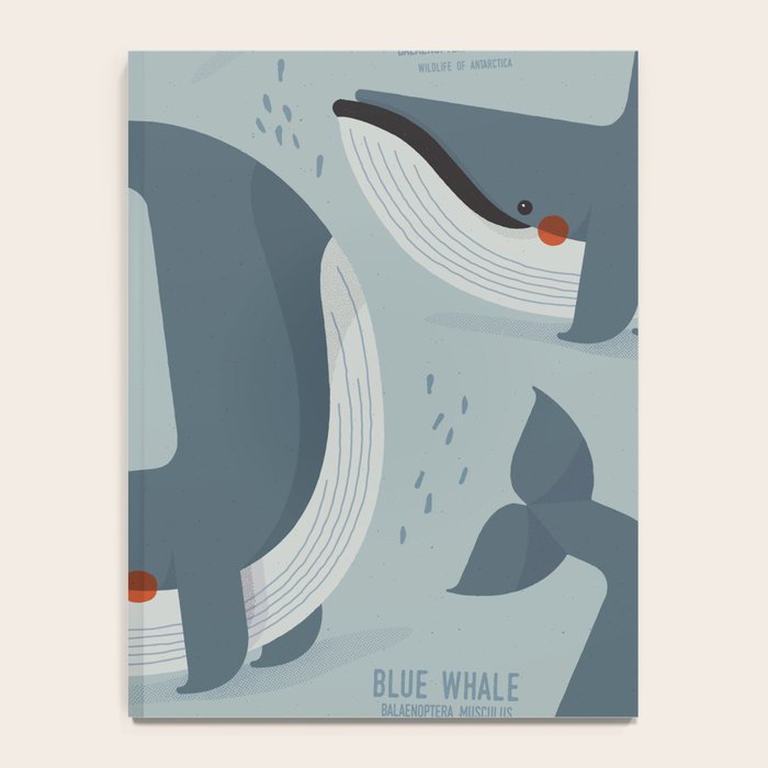 Blue Whale, Wildlife of Antarctica Notebook Gallery Image 4