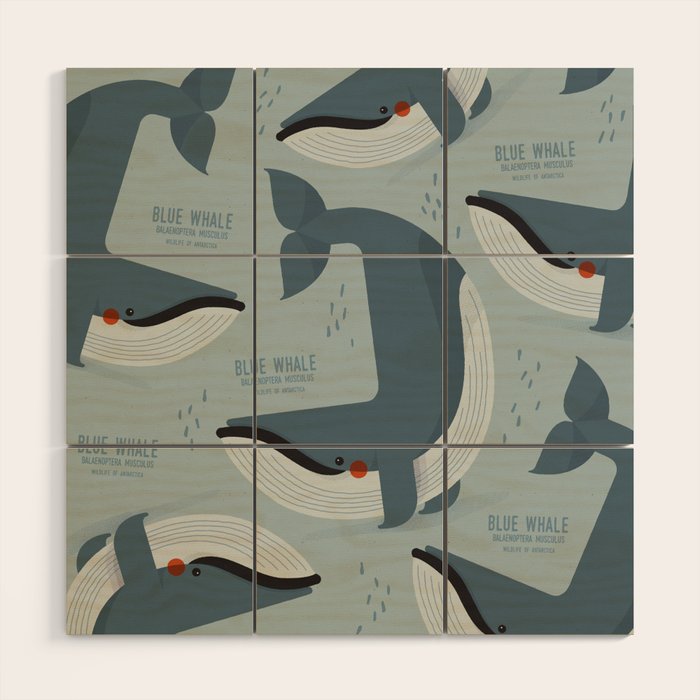 Blue Whale, Wildlife of Antarctica Wood Wall Art Gallery Image 1