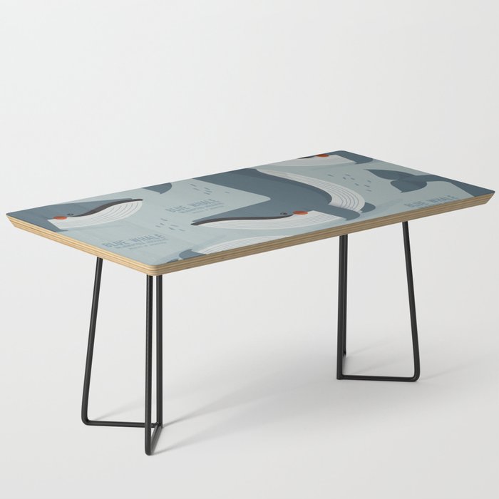 Blue Whale, Wildlife of Antarctica Coffee Table Gallery Image 1