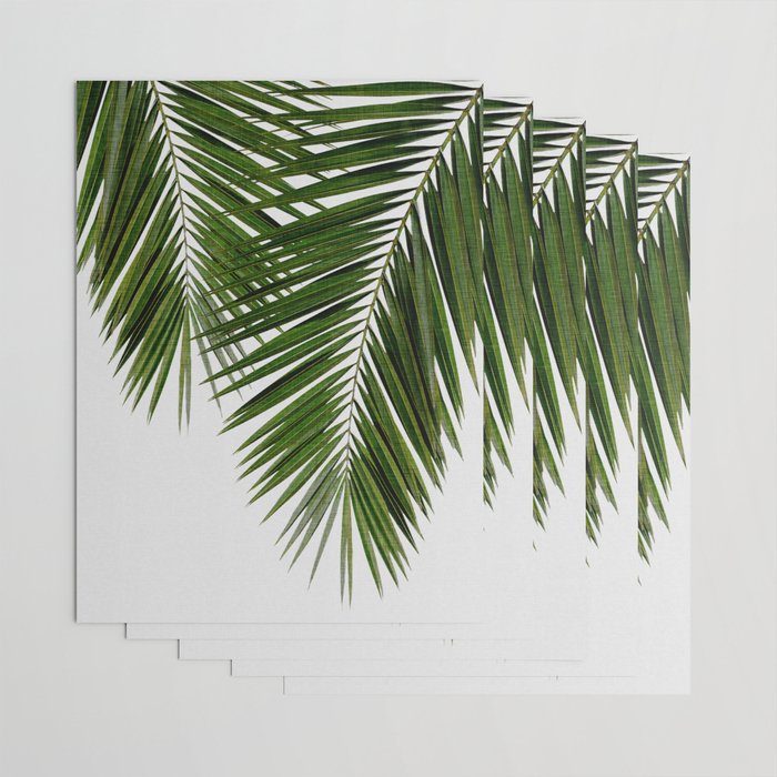 Palm Leaf II Wrapping Paper Gallery Image 3