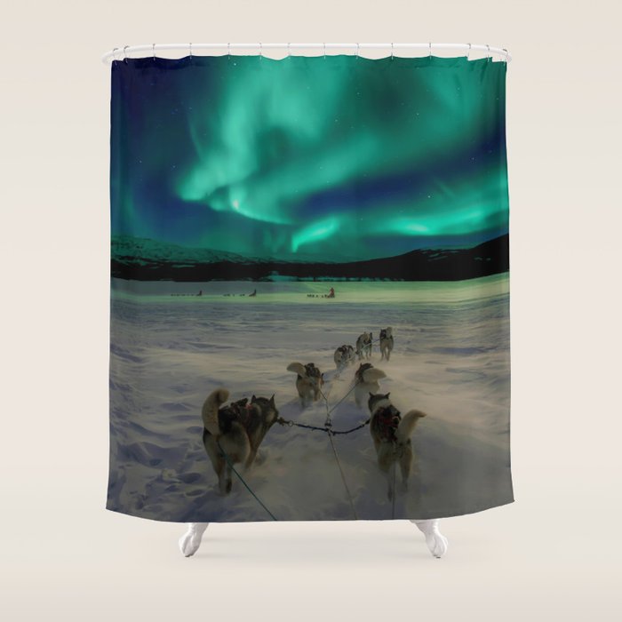 Winter Northern Lights Dog Sled (Color) Shower Curtain Gallery Image 1