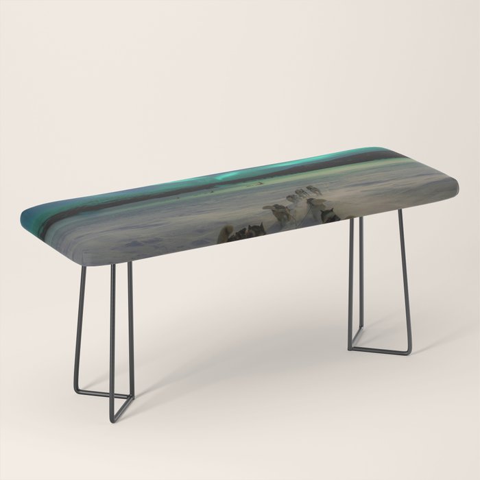 Winter Northern Lights Dog Sled (Color) Bench Gallery Image 1