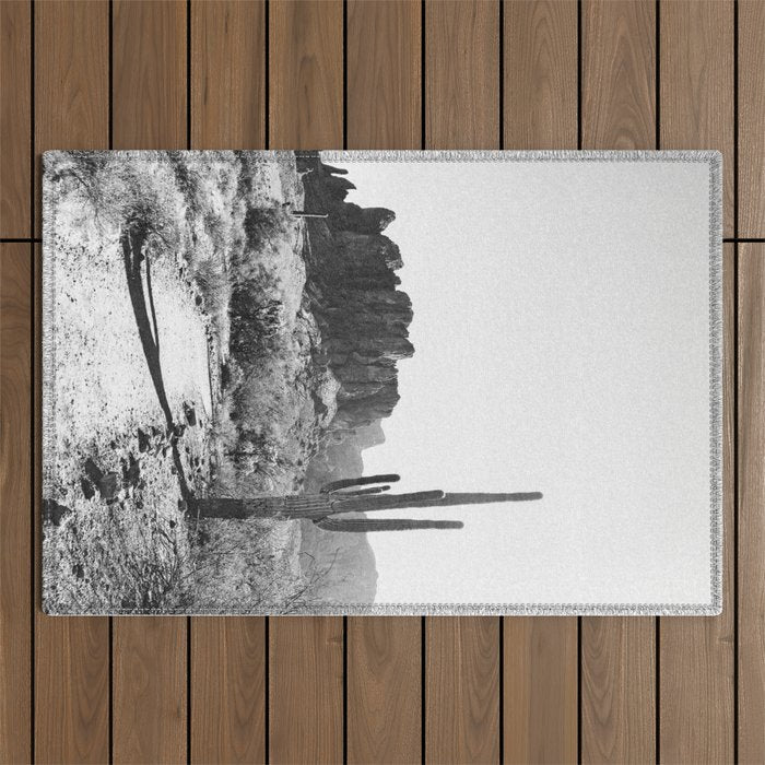 ARIZONA DESERT II Outdoor Rug Gallery Image 1