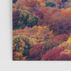Autumn in New York - Travel Photography Poster Gallery Image 3