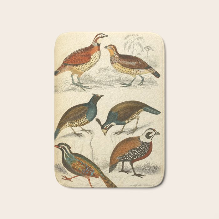 Quails from The Edinburgh Journal, 1835 (benefitting The Nature Conservancy) Bath Mat Gallery Image 1