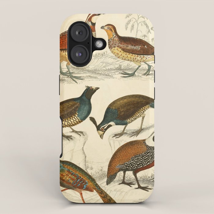 Quails from The Edinburgh Journal, 1835 (benefitting The Nature Conservancy) iPhone Case Gallery Image 1