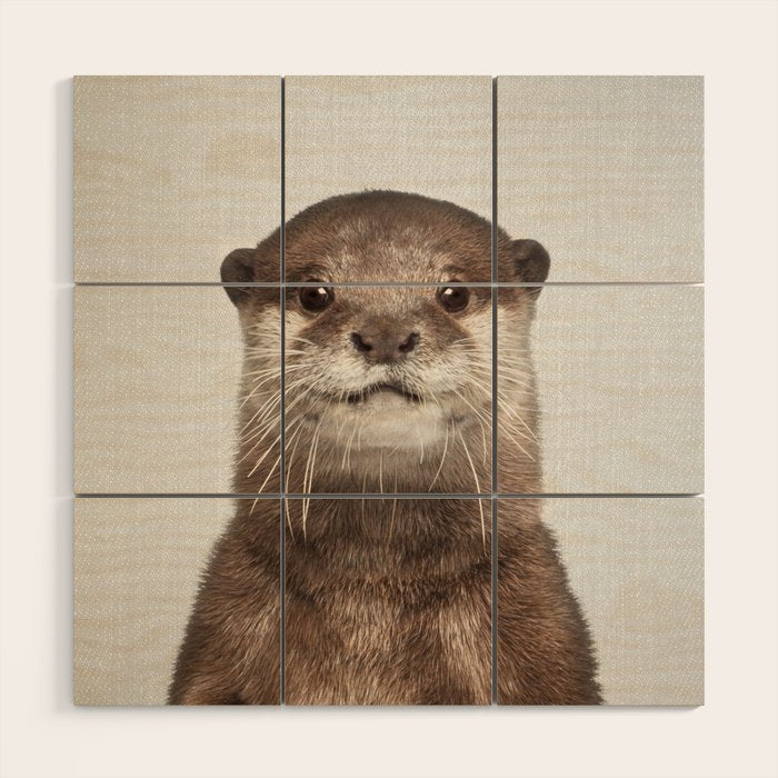 Otter - Colorful Wood Wall Art Gallery Image 1