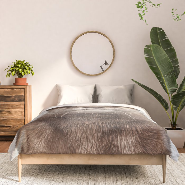 Otter - Colorful Comforter Gallery Image 3