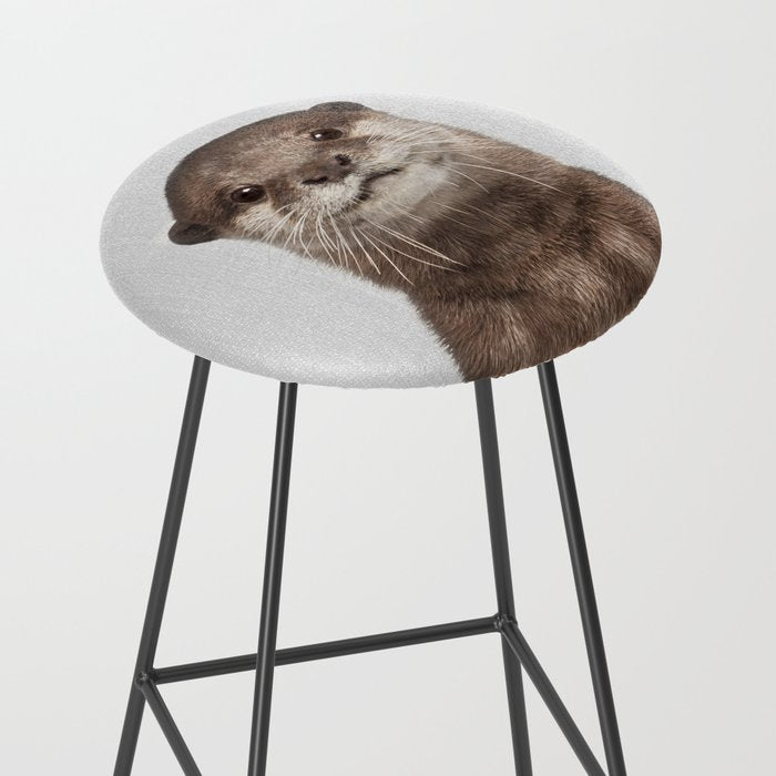Otter - Colorful Stool Gallery Image 2